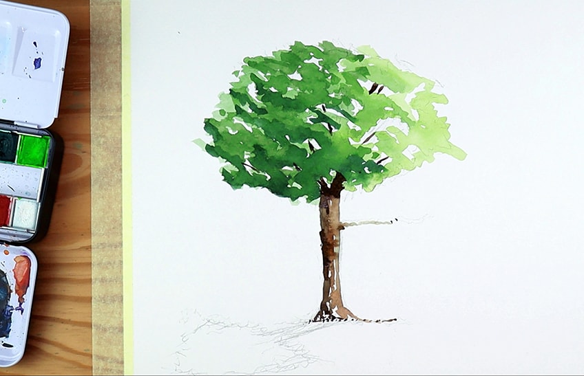 watercolor trees 4d
