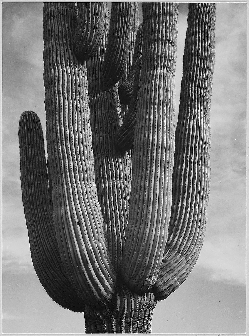 Example of Ansel Adams Prints