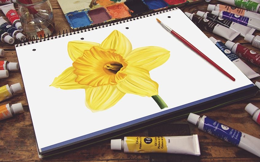 How to draw a daffodil