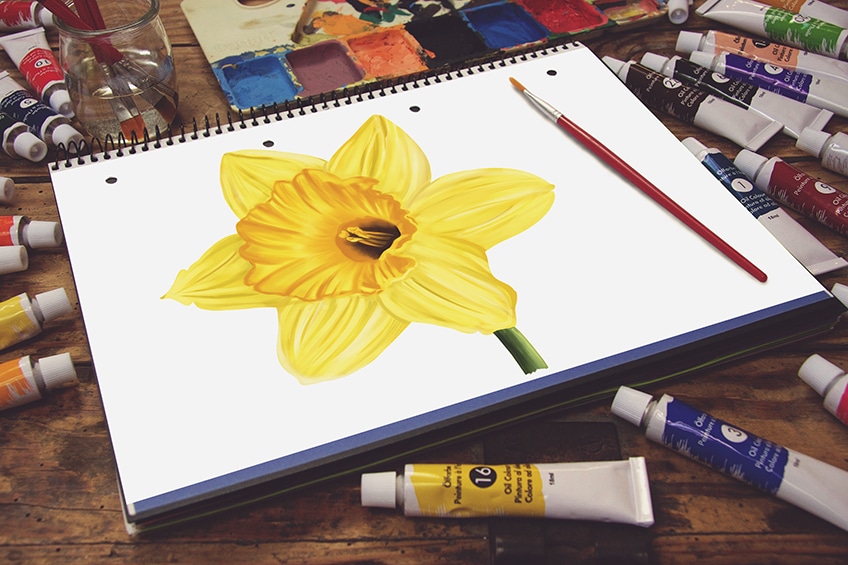 Pen & Ink illustration of a Daffodil flower. Original hand drawn art for  sale. — Hoot Design Studio