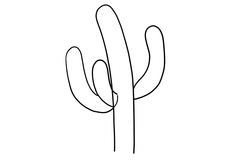 cactus drawing 04
