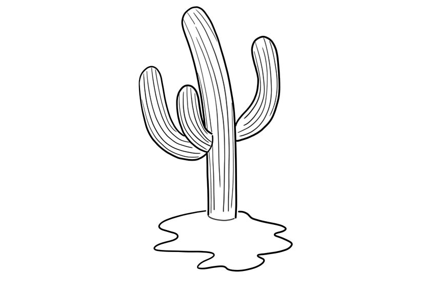 cactus drawing 06