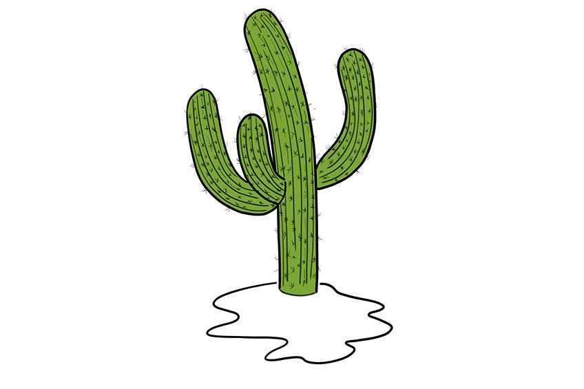 cactus drawing 08