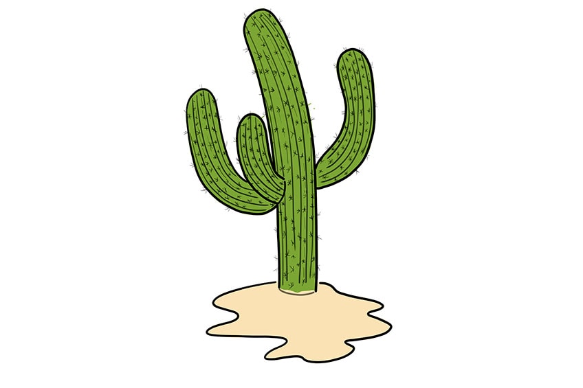cactus drawing 09