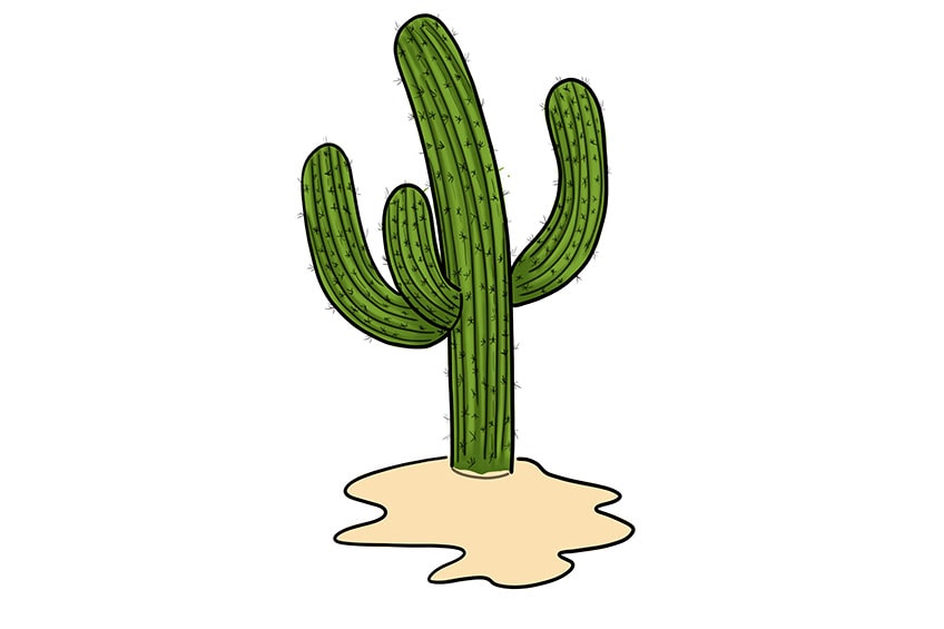 cactus drawing 10