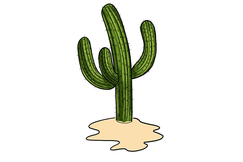 saguaro cactus illustration