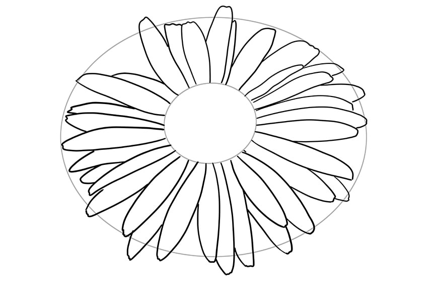 daisy flower drawing 03