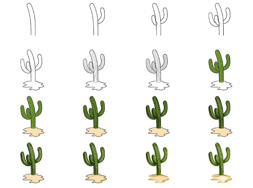 draw a cactus step by step