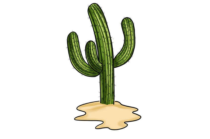 easy cactus drawing