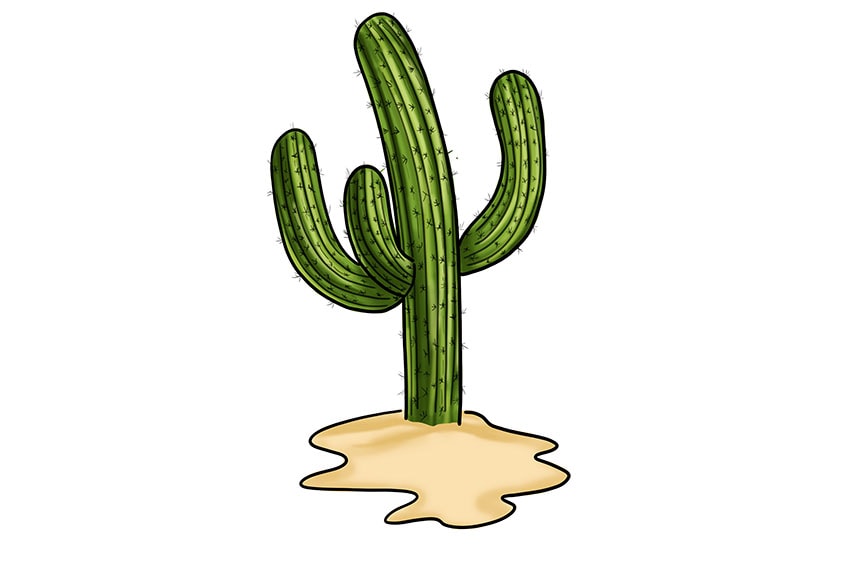 Cactus Drawing Images – Browse 322,944 Stock Photos, Vectors, and Video |  Adobe Stock