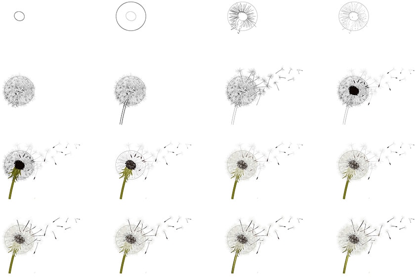 realistic dandelion drawing