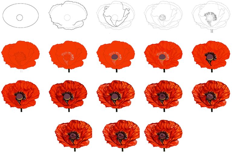 How to Draw a Poppy Flower A StepbyStep Tutorial