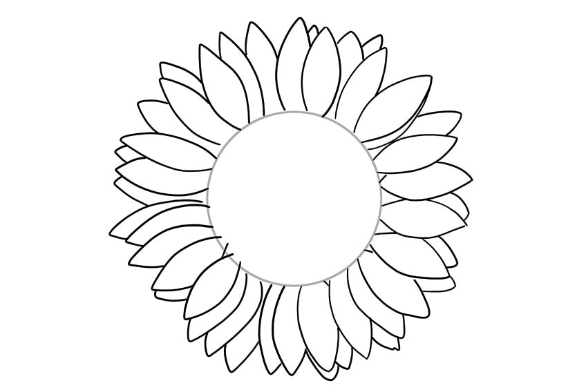 sunflowers drawing 02