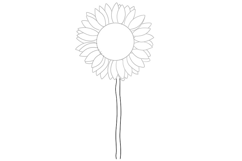 sunflowers drawing 03