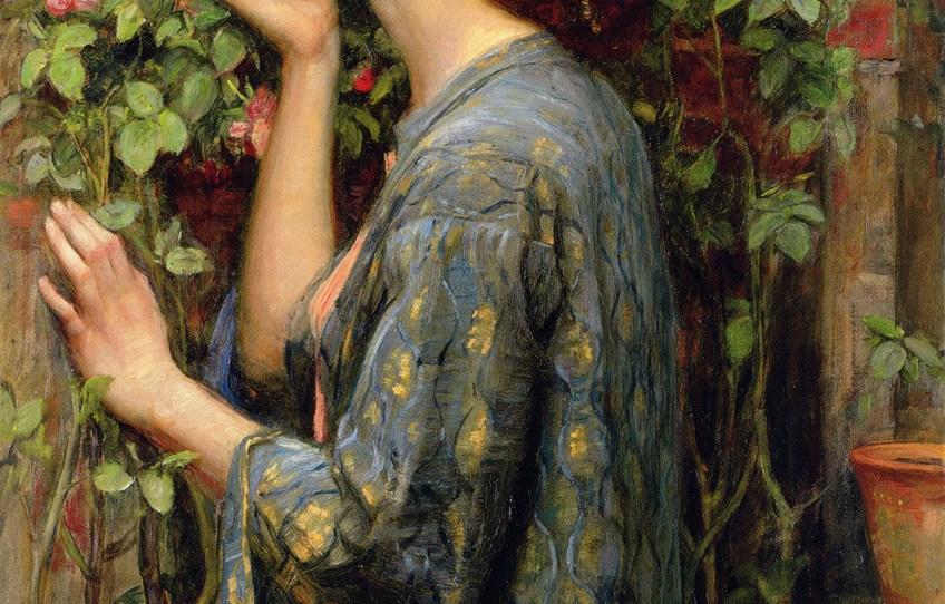 Close-Up of The Soul of the Rose by John William Waterhouse