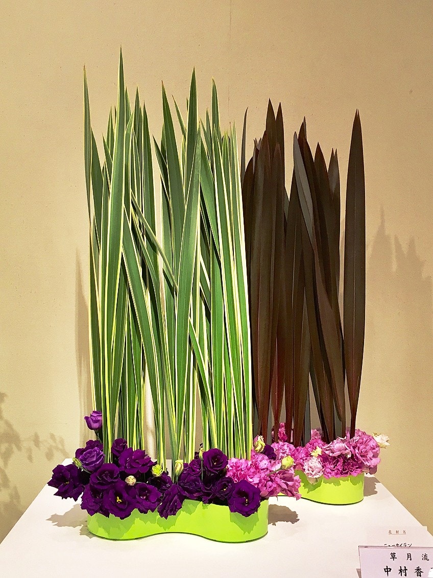 Ikebana Artists Arrangements