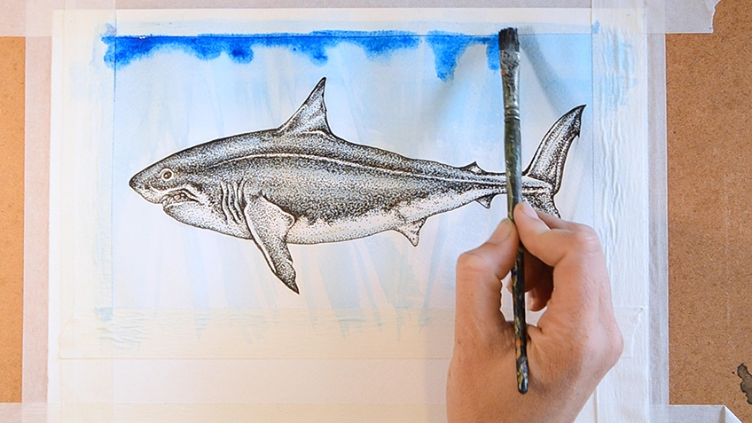 Realistic drawing of a cute shark 🥰 | Realistic drawing of a cute shark 🥰  Music 