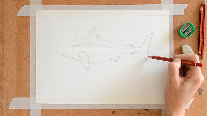 Shark Sketch Step 3