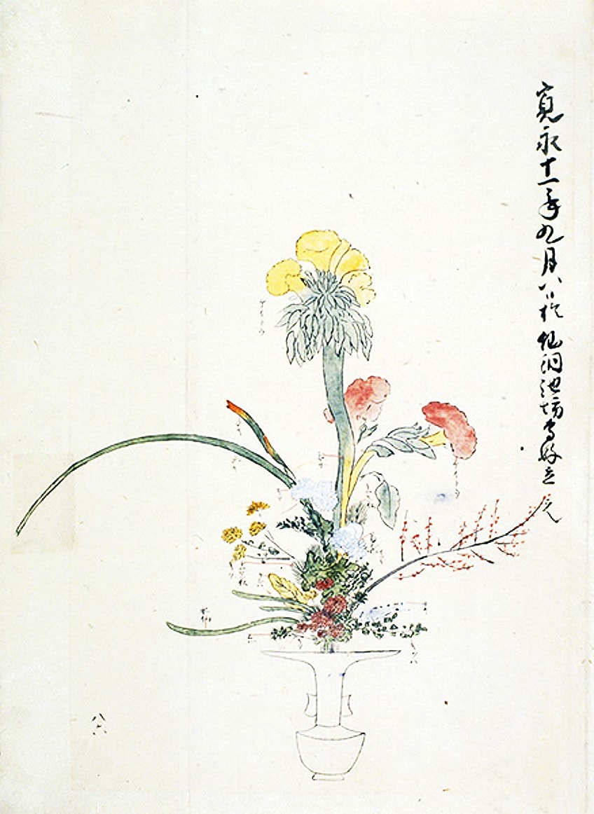 Sketch of Ikebana Art