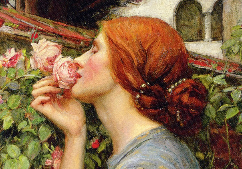 The Soul of the Rose by John William Waterhouse Close-Up