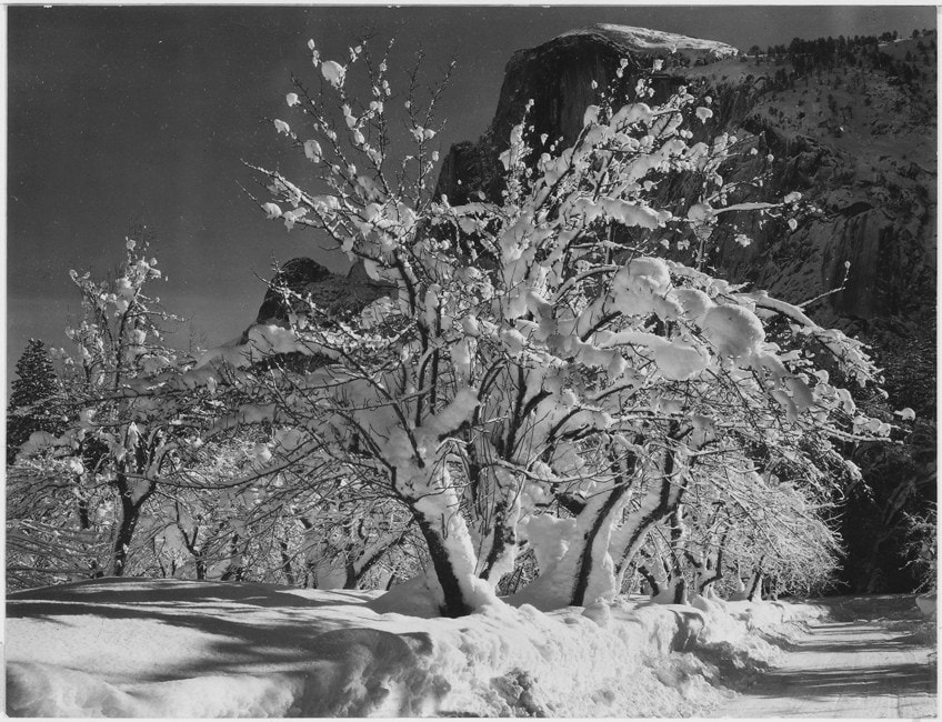 Works by Classic Photographers