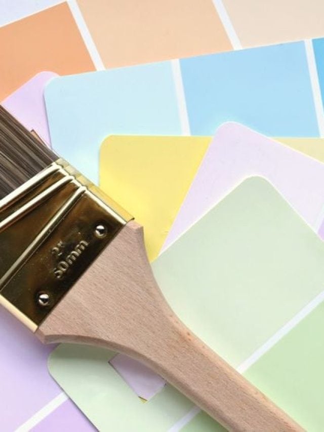 Solid Pastel Colors