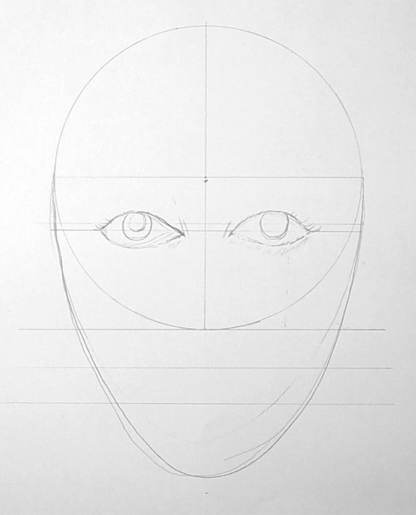 face proportions 11