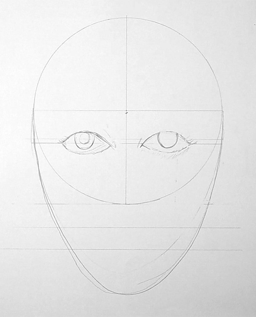 face proportions 12