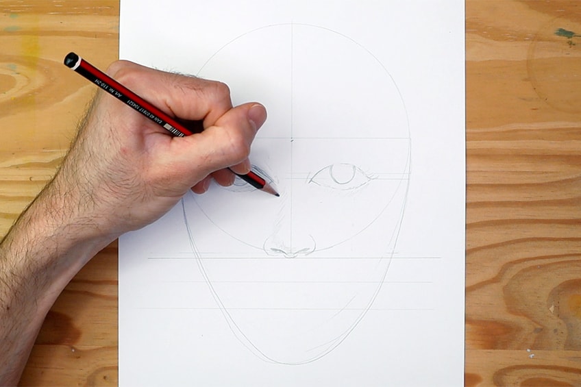 face proportions drawing 14