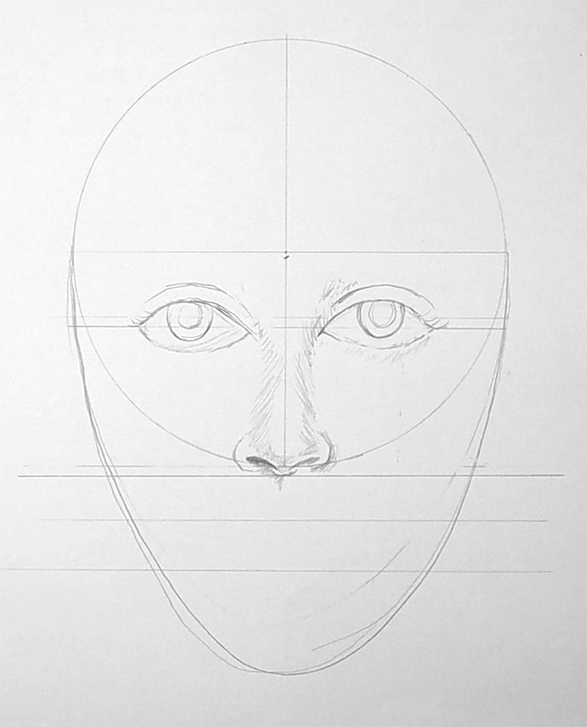 face proportions drawing 15