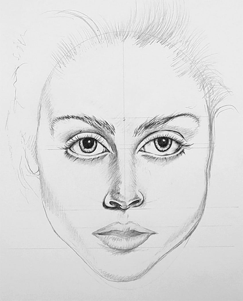 Male Face Drawing Outline 118597892 Facial Outline Drawing