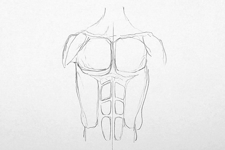 Muscle Drawing Example How to Draw Muscles - Learn How to Create Your Own Muscle Sketch