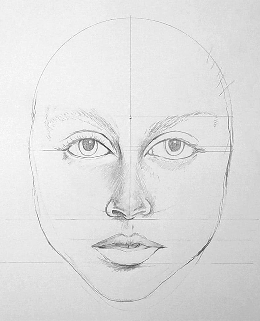 proportions of the face 20