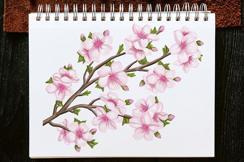 Flower Easy Sketches