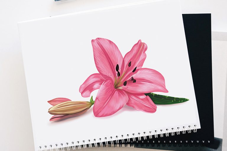 How to Draw a Lily Flower – Create Your Own Lily Flower Drawing