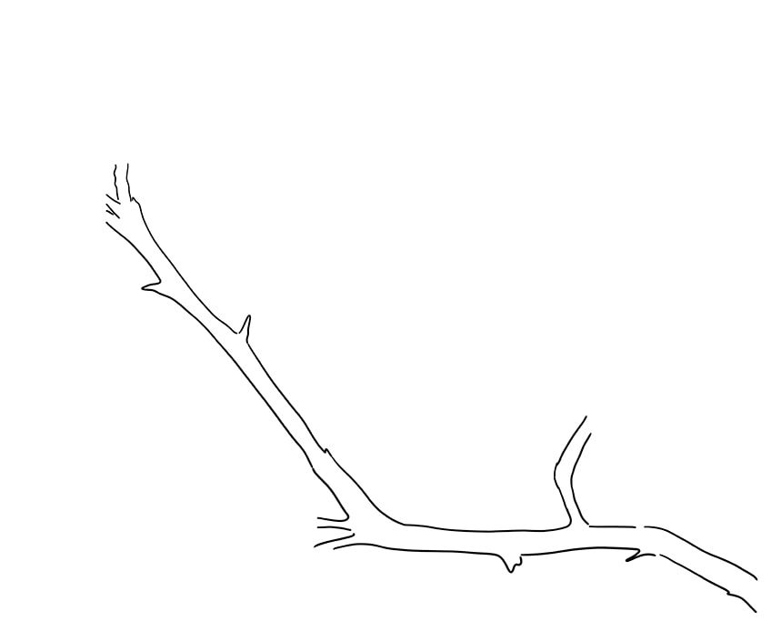 How to Draw a Tree Branch With Leaves  EasyDrawingTips