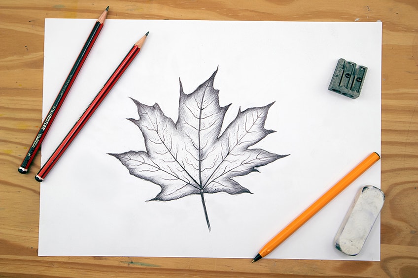 autumn leaf drawing