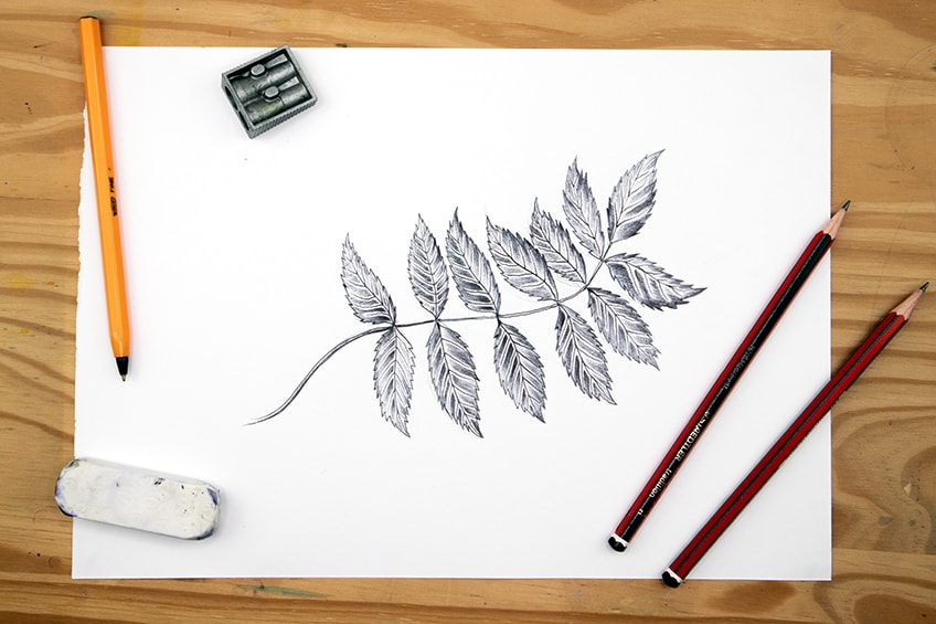easy to draw leaves