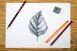 Leaf Drawing - Learn How to Draw Different Leaves! - Art in Context