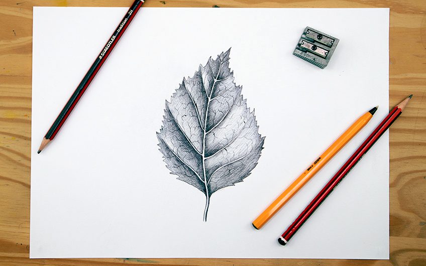 how to draw a leaf