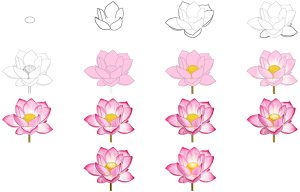 How to Draw a Lotus Flower - Create Your Own Lotus Sketch