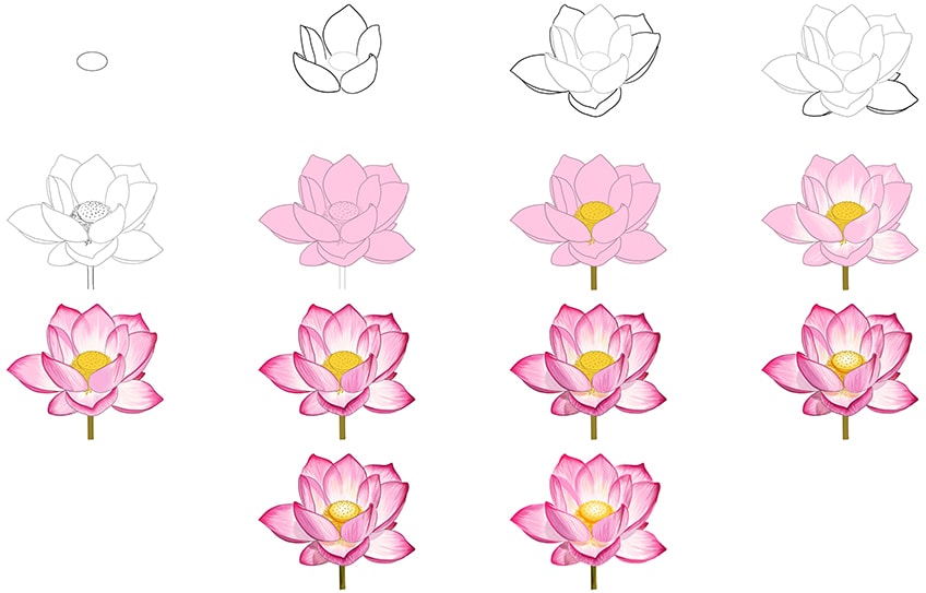 how to draw lotus step by step