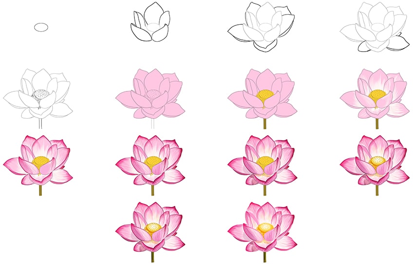 How To Draw A Lotus Flower Step By Step For Kids How To Draw A Lotus Flower Step By Step For Kids