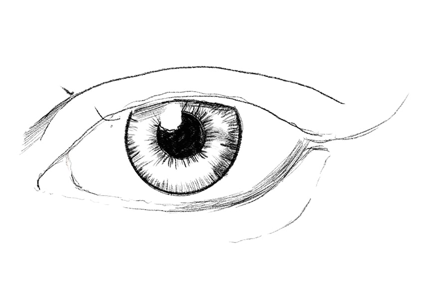 lashes drawing 04