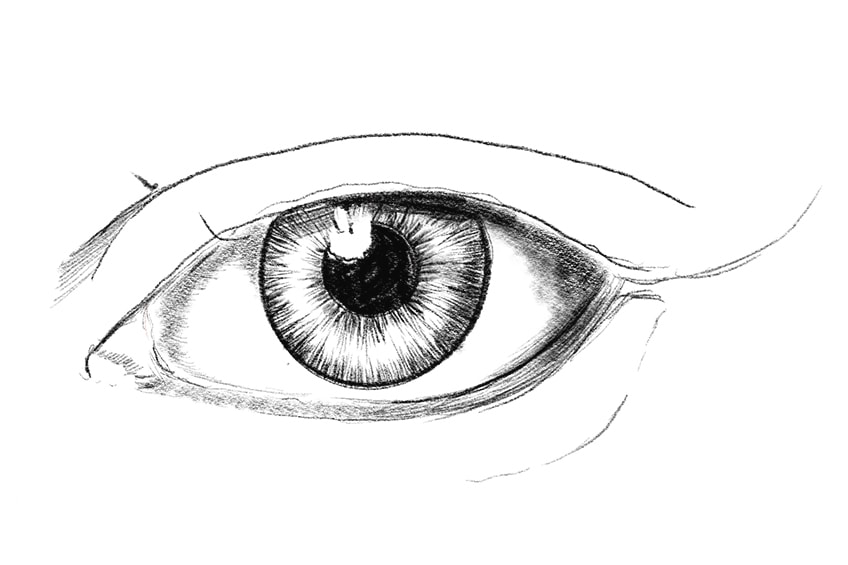 lashes drawing 05
