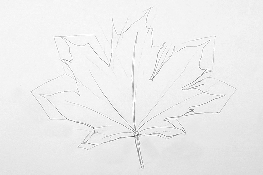 leaves drawing step 26