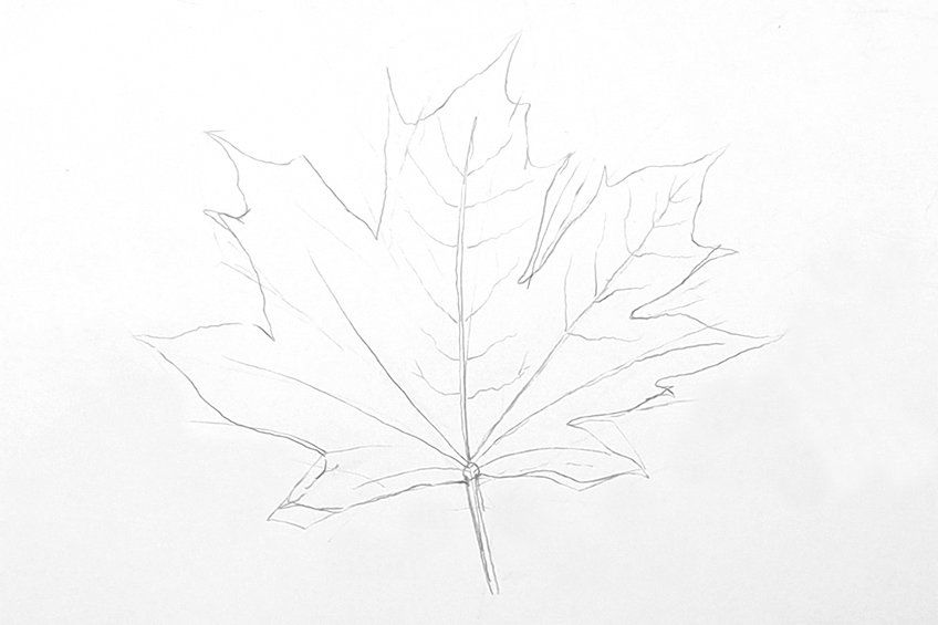 leaves drawing step 27