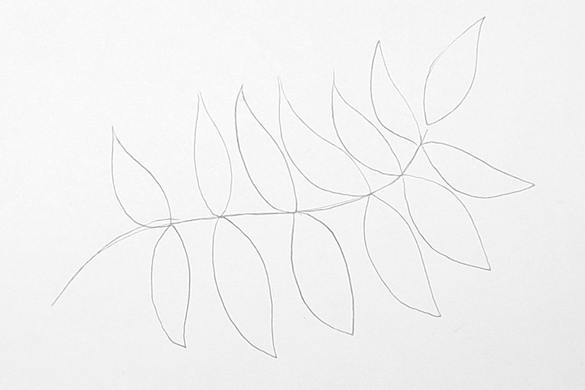 leaves to draw 58