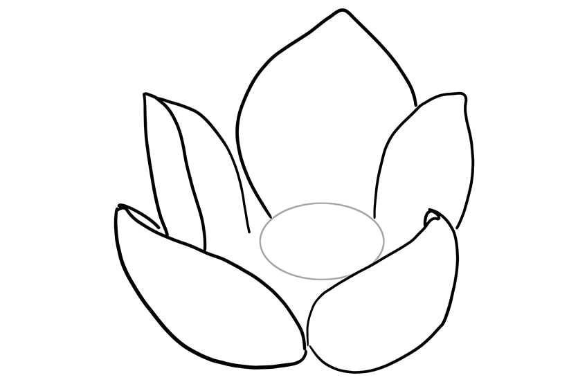 Lotus original ink drawing | Bradley Jay