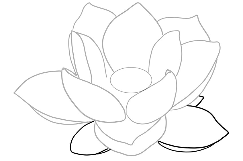 Lotus Flower Sketch / Black & White - white lotus | Lotus Fl… | Flickr